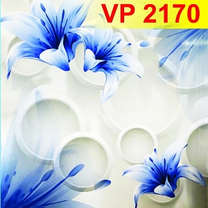 vp2170-274