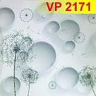 vp2171-273