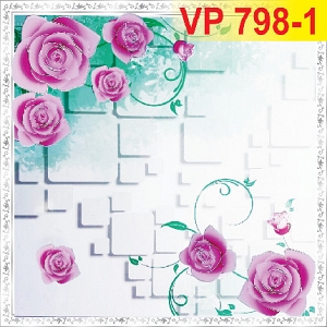 vp-798-200